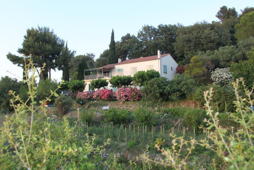 La Maison De La Cadiere Værelse billede